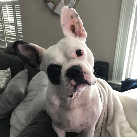 Meet your Posher, Tina - Picture 1 of 2